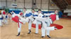 ASD Taekwondo Pesaro durante lo stage internazionale con i maestri spagnoli
